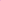 Pink dog puffer jacket with 'The Wild Paw' logo on a white background